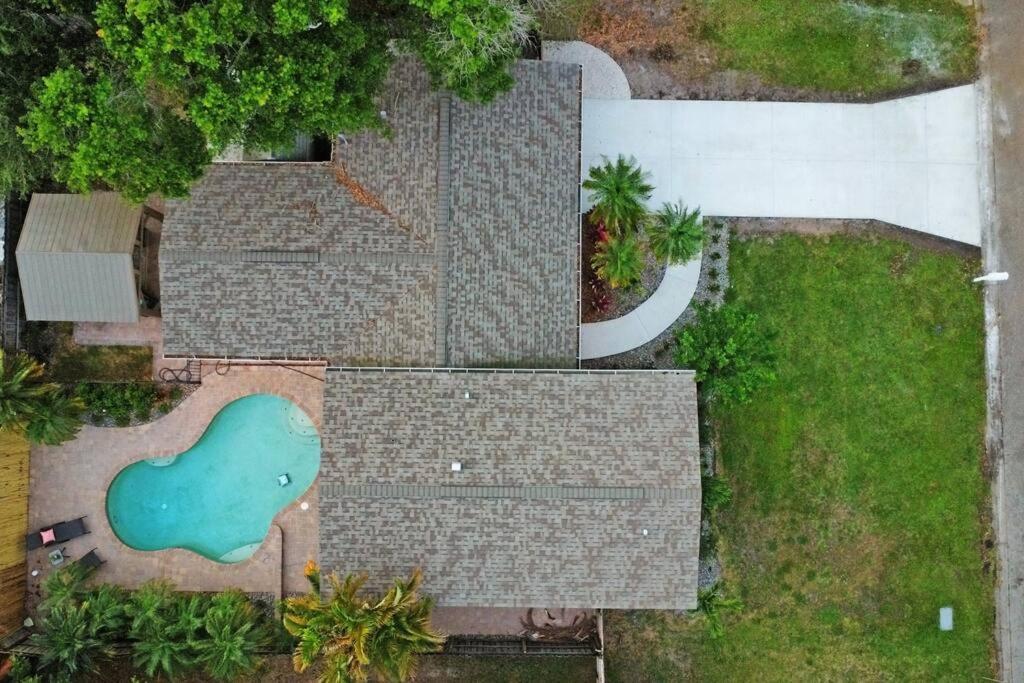 Palm Tree Paradise Tampa Pool Home Exterior photo