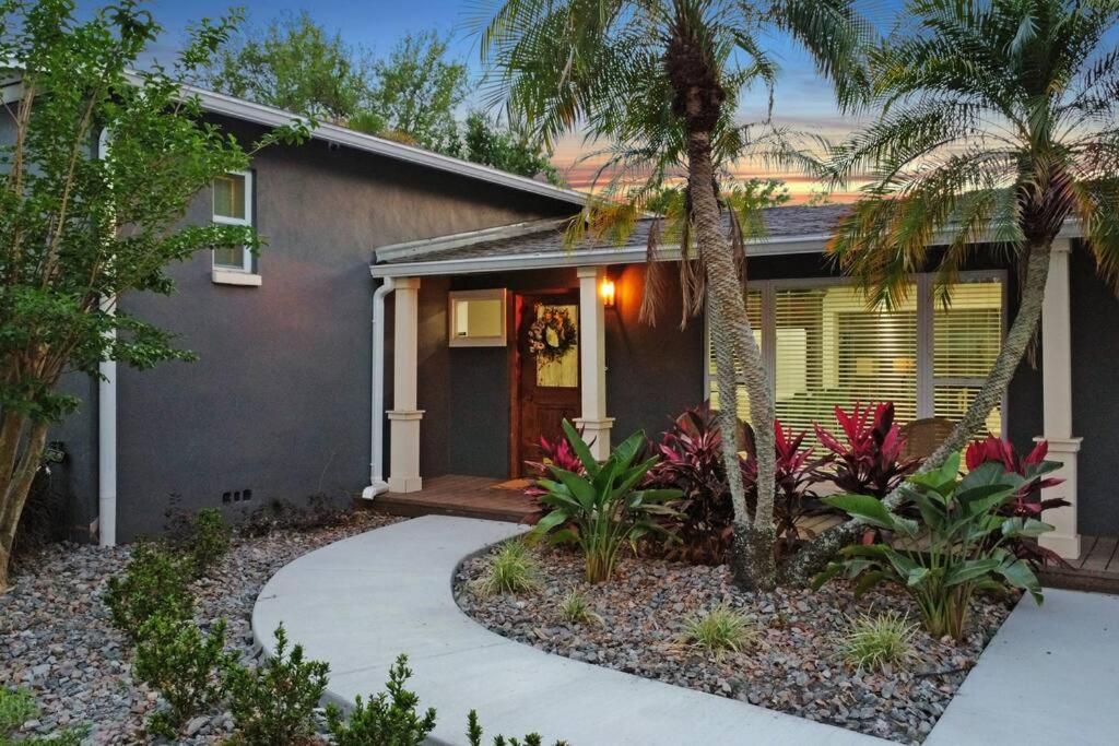 Palm Tree Paradise Tampa Pool Home Exterior photo